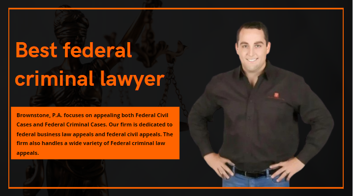 Best federal criminal lawyer