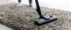 professional rug cleaning services in ames ia